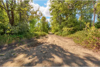 644 Pine Cone Drive, Cave Junction, OR 97523 - Photo 15