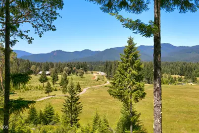 78189 High Prairie Road, Oakridge, OR 97463 - Photo 3