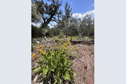 0 Buffalo Ln #Lot 11-12, Bonanza, OR 97623 - Photo 11