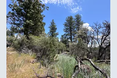 0 Buffalo Ln #Lot 11-12, Bonanza, OR 97623 - Photo 15