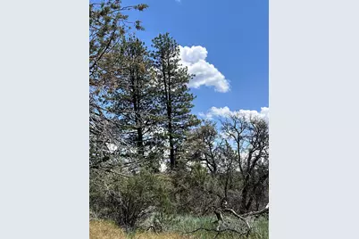 0 Buffalo Ln #Lot 11-12, Bonanza, OR 97623 - Photo 17