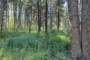 0 Hwy 62, Chiloquin, OR 97624 - Photo 1