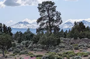 17740 Ox Spur Ct, Bend, OR 97703 - Photo 7