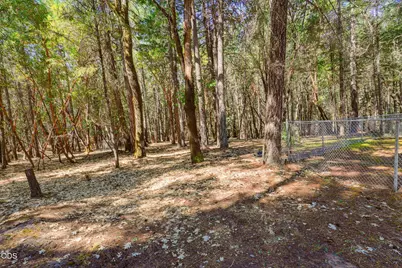 255 Janice Way, Merlin, OR 97532 - Photo 71