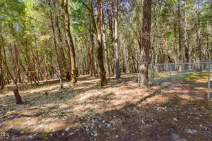255 Janice Way, Merlin, OR 97532 - Photo 71
