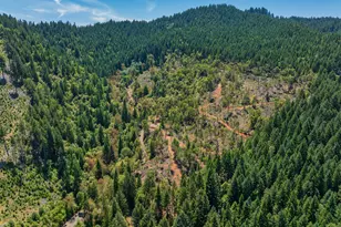1132 Bridge Ln, Wolf Creek, OR 97497 - Photo 3