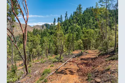 1132 Bridge Lane, Wolf Creek, OR 97497 - Photo 23