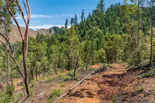 1132 Bridge Ln, Wolf Creek, OR 97497 - Photo 23