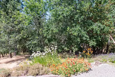 712 Colleen Court, Grants Pass, OR 97527 - Photo 47