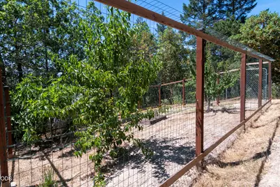 712 Colleen Court, Grants Pass, OR 97527 - Photo 51
