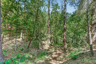 5900 OR-238, Jacksonville, OR 97530 - Photo 27