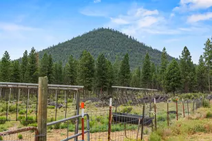 48850 Sycan Rd, Beatty, OR 97621 - Photo 49