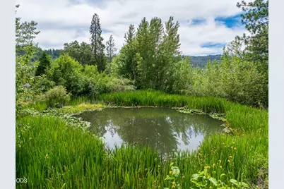 11598 Butte Falls Highway, Eagle Point, OR 97524 - Photo 3