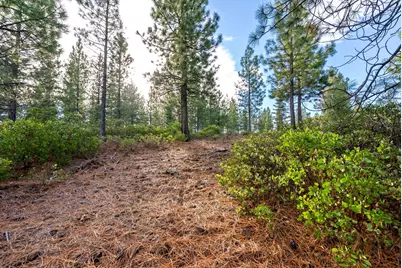 70410 McAllister Road #FS Road 2060, Sisters, OR 97759 - Photo 17