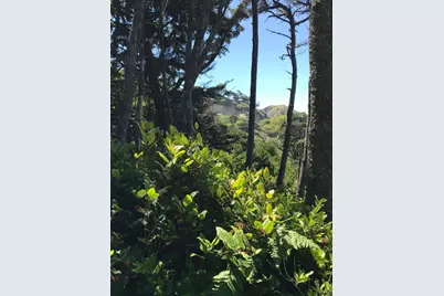 0 Forest Street #1400, Newport, OR 97365 - Photo 7