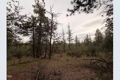 0 Porpoise Lane #15, Bonanza, OR 97623 - Photo 7
