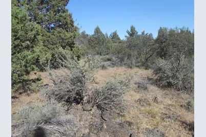0 Ground Squirrel Drive, Bonanza, OR 97623 - Photo 7