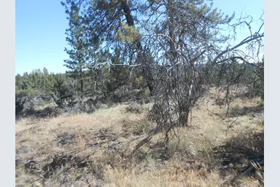 0 Ground Squirrel Drive, Bonanza, OR 97623 - Photo 1