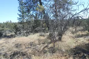 0 Ground Squirrel Dr, Bonanza, OR 97623 - Photo 1