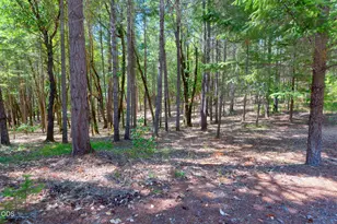 634 Minnow Ln, Wilderville, OR 97543 - Photo 43
