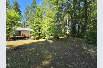 4299 Dick George Road, Cave Junction, OR 97523 - Photo 9