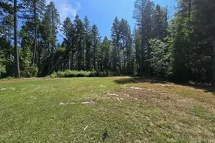 4299 Dick George Rd, Cave Junction, OR 97523 - Photo 11