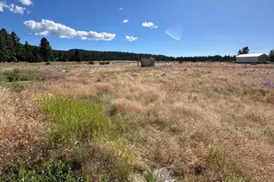 23326 Forbes Rd, Sprague River, OR 97639 - Photo 7