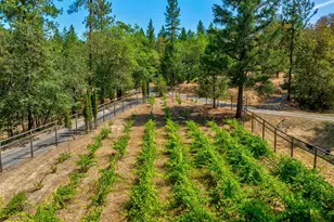 475 Penny Ln, Grants Pass, OR 97527 - Photo 3