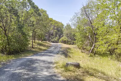 343 High Ridge Terrace, Grants Pass, OR 97526 - Photo 61