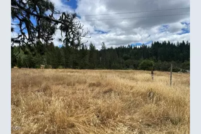 5345 Westside Road, Cave Junction, OR 97523 - Photo 9