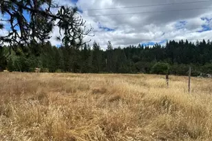 5345 West Side Rd, Cave Junction, OR 97523 - Photo 9