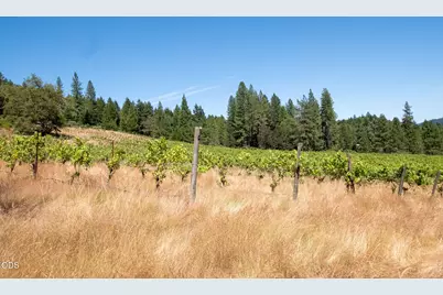 1329 Larson Road, Roseburg, OR 97471 - Photo 19