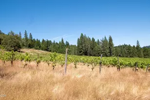 1329 Larson Rd, Roseburg, OR 97471 - Photo 19