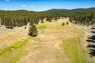 29001 NE Duncan Creek, Prineville, OR 97754 - Photo 51