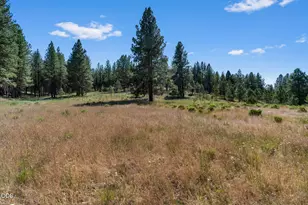 29001 NE Duncan Creek, Prineville, OR 97754 - Photo 33