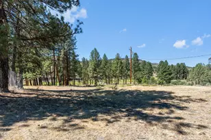 29001 NE Duncan Creek, Prineville, OR 97754 - Photo 23