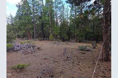31276 Seal Lane, Bonanza, OR 97623 - Photo 45