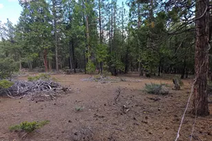 31276 Seal Ln, Bonanza, OR 97623 - Photo 45