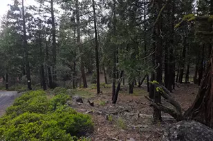 31276 Seal Ln, Bonanza, OR 97623 - Photo 41