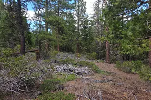31276 Seal Ln, Bonanza, OR 97623 - Photo 43