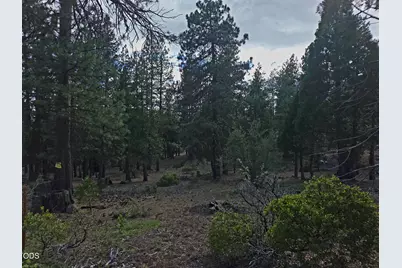 31276 Seal Lane, Bonanza, OR 97623 - Photo 39