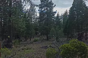 31276 Seal Ln, Bonanza, OR 97623 - Photo 39
