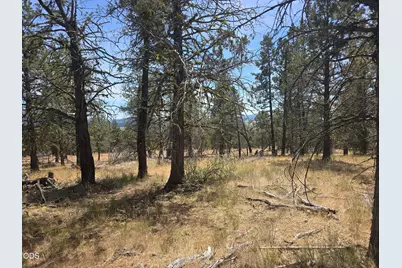 11436 Wildhorse Drive, Bonanza, OR 97623 - Photo 9