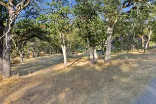 101 Rocky Knoll Ln, Jacksonville, OR 97530 - Photo 47