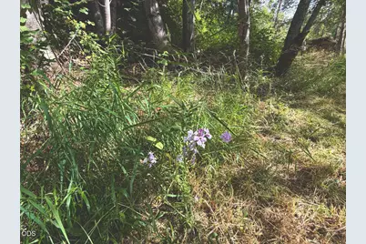 [Address not provided], Jacksonville, OR 97530 - Photo 37