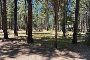 16160 Mountain Sheep Ln, Bend, OR 97707 - Photo 31