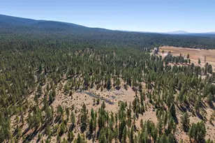 300 Road 49 Silverlake Hwy, Chiloquin, OR 97624 - Photo 31