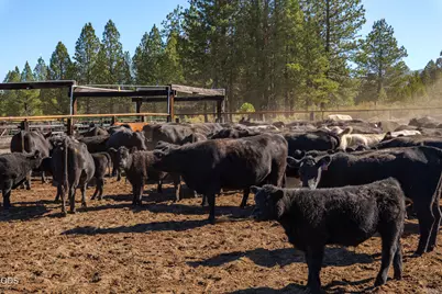 300 Road 49 Silverlake Highway, Chiloquin, OR 97624 - Photo 67
