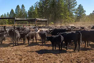 300 Road 49 Silverlake Hwy, Chiloquin, OR 97624 - Photo 59