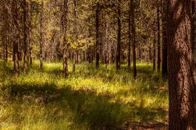 55471 Jamie Way, Bend, OR 97707 - Photo 11